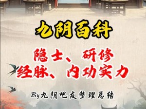 下一站江湖九阴秘籍获取攻略：全面解析九阴秘籍的获取途径与策略技巧