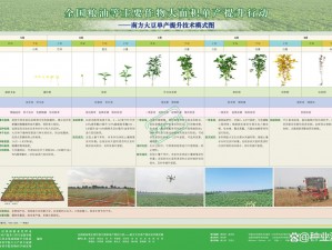 麻豆精产国品一二三产区区别大吗、麻豆精产国品一二三产区的区别大吗？