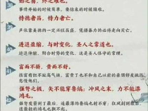 《古代人生攻略宝典：全方位玩法指南与历史智慧合集》