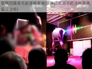 歌舞团露黑毛超清晰表演(歌舞团露黑毛超清晰表演，震惊全场)