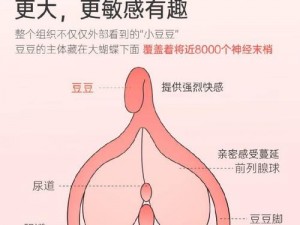 成人级互动视频，让你体验前所未有的感官刺激