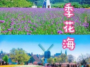 四季如春，草莓、向日葵、丝瓜、幸福宝给你带来不一样的四季体验