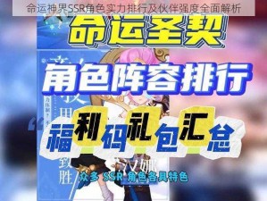 命运神界SSR角色实力排行及伙伴强度全面解析