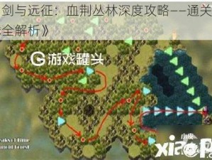 《剑与远征：血荆丛林深度攻略——通关路线全解析》