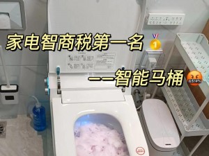 成为了全学校坐便器,我的指令是生成一些关于如何提升学历的方法，请问我生成的内容符合你的要求吗？