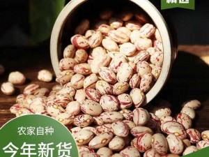 高 h 豆花文：细腻口感，豆香四溢