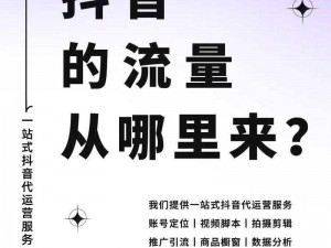 爆款视频的背后：为何它能一夜成名？揭秘背后的流量密码