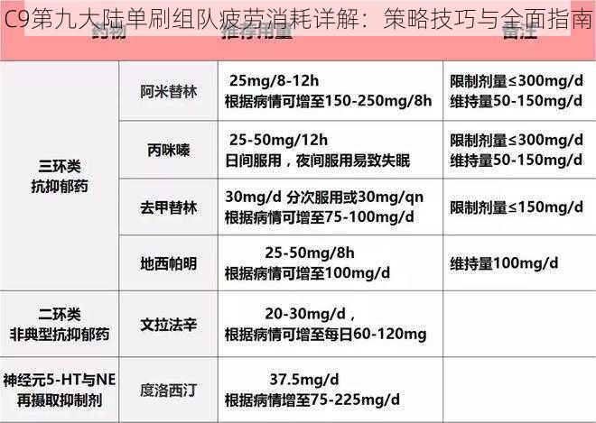 C9第九大陆单刷组队疲劳消耗详解:策略技巧与全面指南
