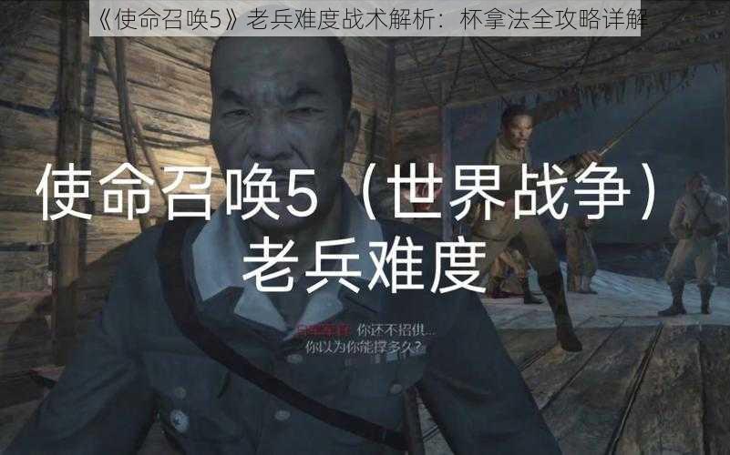 《使命召唤5》老兵难度战术解析:杯拿法全攻略详解