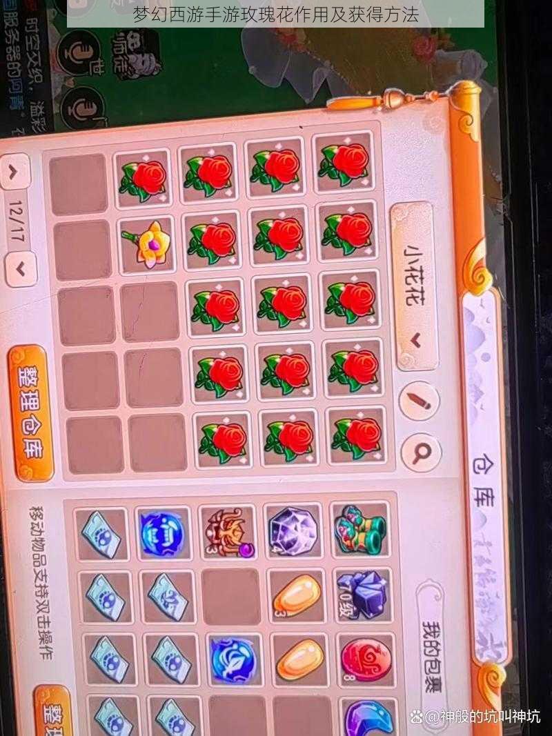 梦幻西游手游玫瑰花作用及获得方法