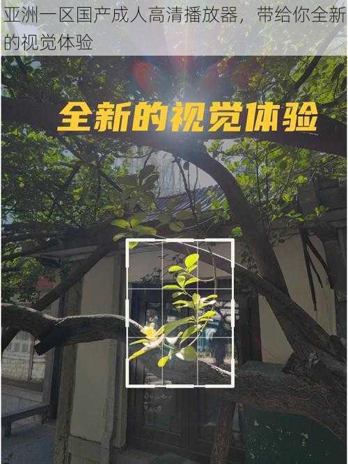 亚洲一区国产成人高清播放器，带给你全新的视觉体验