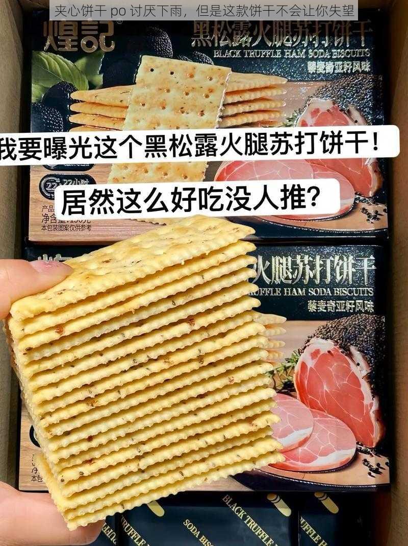 夹心饼干 po 讨厌下雨，但是这款饼干不会让你失望