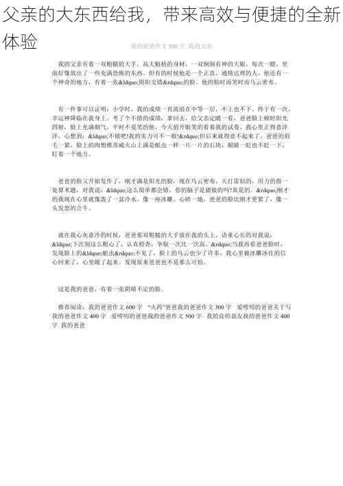 父亲的大东西给我，带来高效与便捷的全新体验