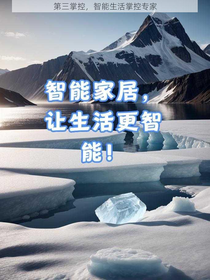 第三掌控，智能生活掌控专家