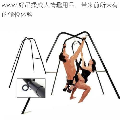 www.好吊操成人情趣用品，带来前所未有的愉悦体验