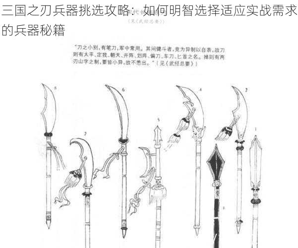 三国之刃兵器挑选攻略：如何明智选择适应实战需求的兵器秘籍