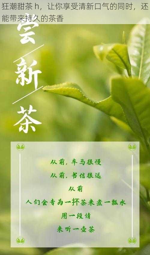 狂潮甜茶 h，让你享受清新口气的同时，还能带来持久的茶香