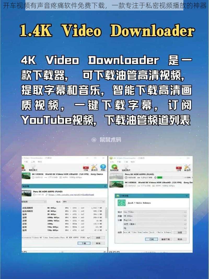 开车视频有声音疼痛软件免费下载，一款专注于私密视频播放的神器