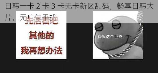 日韩一卡 2 卡 3 卡无卡新区乱码，畅享日韩大片，无广告干扰