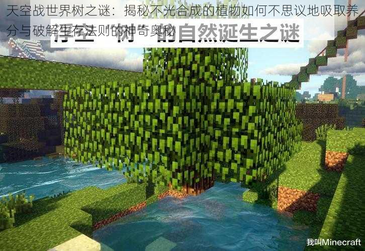 天空战世界树之谜：揭秘不光合成的植物如何不思议地吸取养分与破解生存法则的神奇奥秘