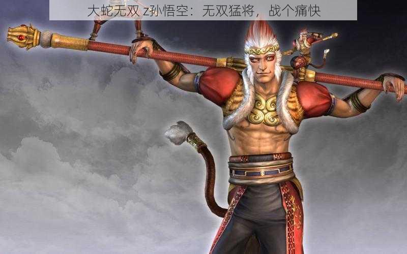 大蛇无双 z孙悟空：无双猛将，战个痛快