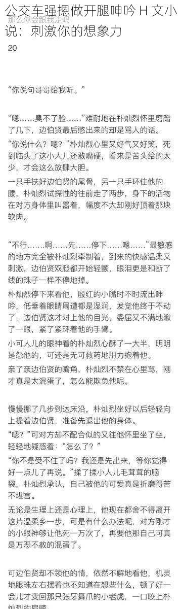 公交车强摁做开腿呻吟 H 文小说：刺激你的想象力