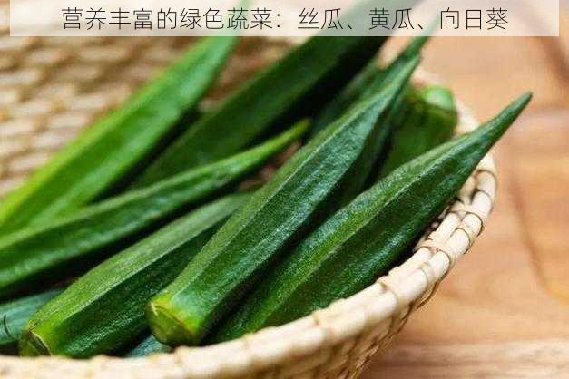 营养丰富的绿色蔬菜：丝瓜、黄瓜、向日葵