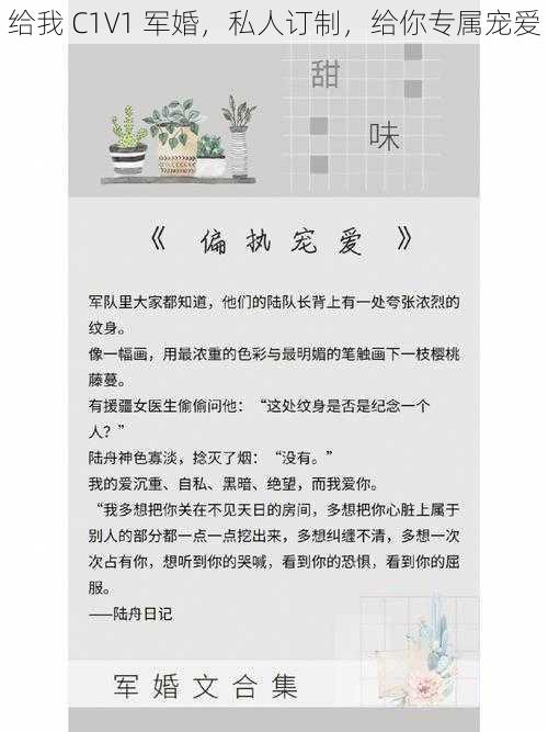 给我 C1V1 军婚，私人订制，给你专属宠爱