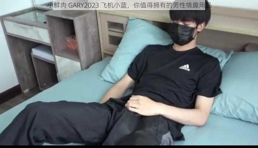 小鲜肉 GARY2023 飞机小蓝，你值得拥有的男性情趣用品