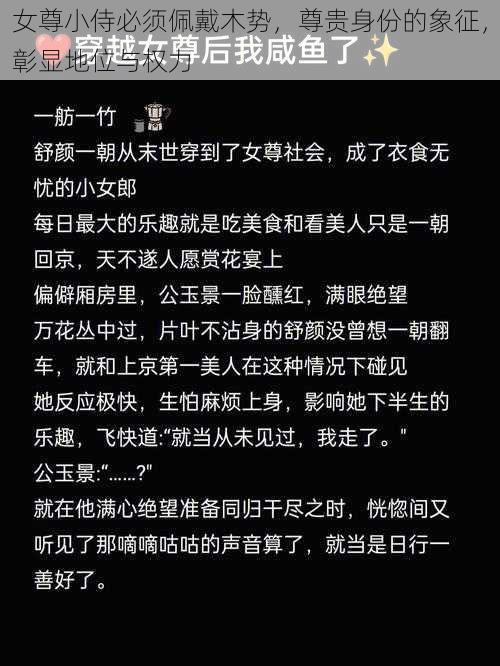 女尊小侍必须佩戴木势，尊贵身份的象征，彰显地位与权力