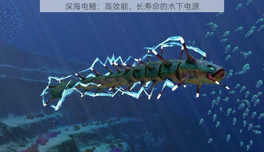 深海电鳗：高效能、长寿命的水下电源