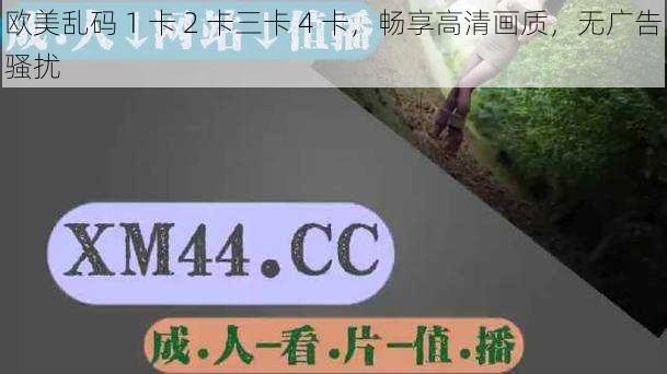 欧美乱码 1 卡 2 卡三卡 4 卡，畅享高清画质，无广告骚扰