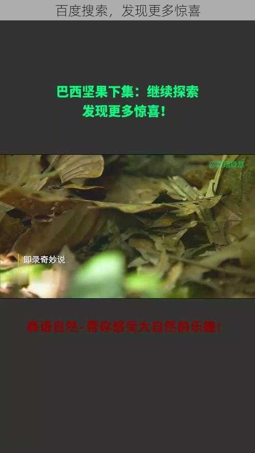 百度搜索，发现更多惊喜