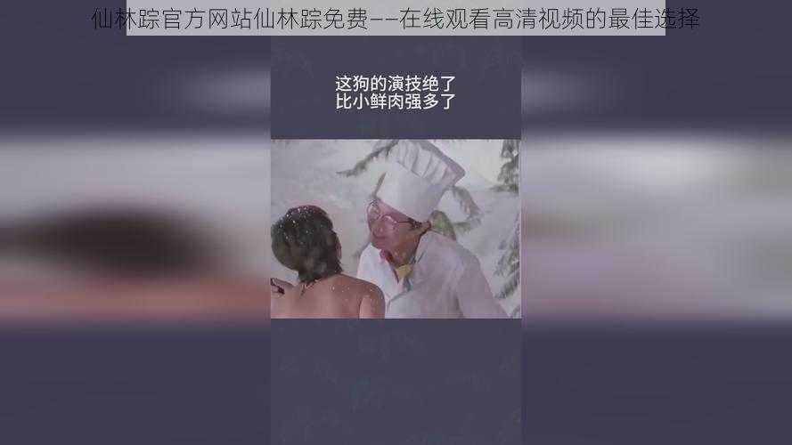 仙林踪官方网站仙林踪免费——在线观看高清视频的最佳选择