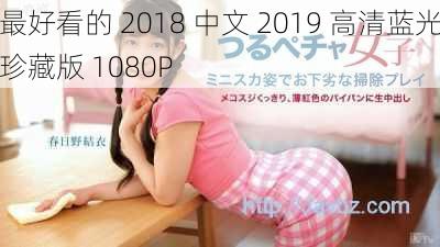 最好看的 2018 中文 2019 高清蓝光珍藏版 1080P