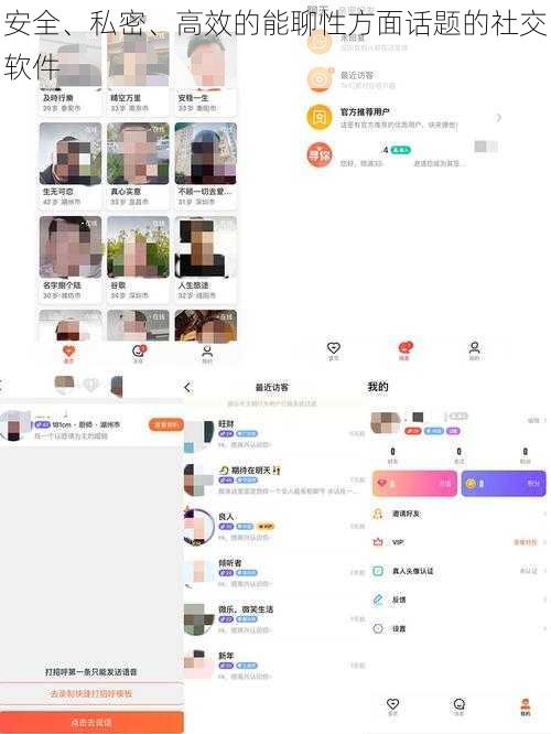 安全、私密、高效的能聊性方面话题的社交软件