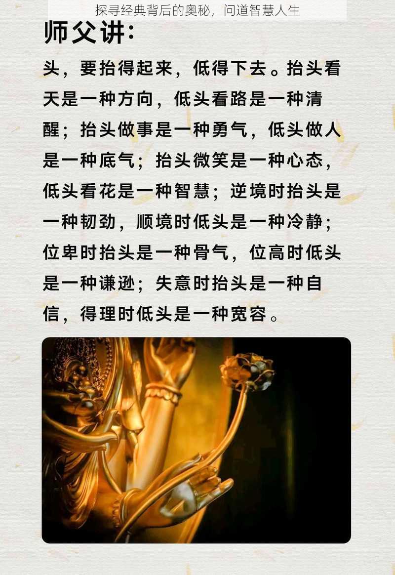 探寻经典背后的奥秘，问道智慧人生