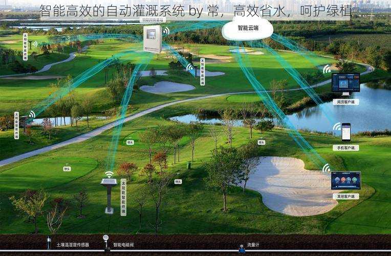 智能高效的自动灌溉系统 by 常，高效省水，呵护绿植