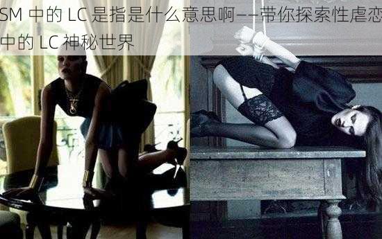 SM 中的 LC 是指是什么意思啊——带你探索性虐恋中的 LC 神秘世界