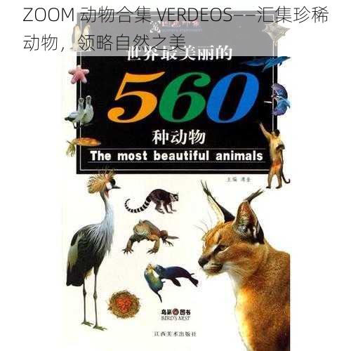 ZOOM 动物合集 VERDEOS——汇集珍稀动物，领略自然之美