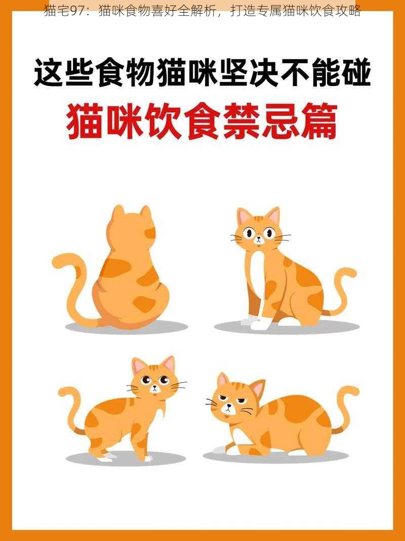 猫宅97：猫咪食物喜好全解析，打造专属猫咪饮食攻略