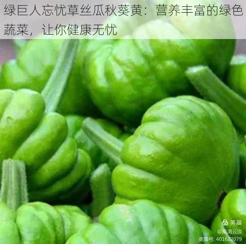 绿巨人忘忧草丝瓜秋葵黄：营养丰富的绿色蔬菜，让你健康无忧