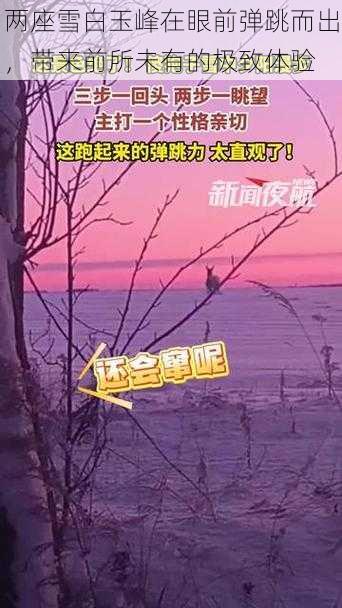 两座雪白玉峰在眼前弹跳而出，带来前所未有的极致体验