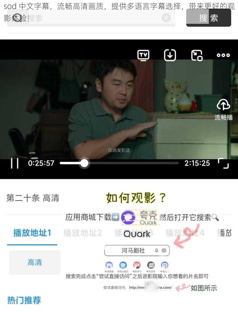sod 中文字幕，流畅高清画质，提供多语言字幕选择，带来更好的观影体验