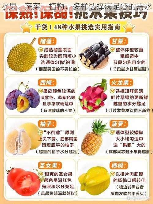 水果、蔬菜、植物，多样选择满足您的需求