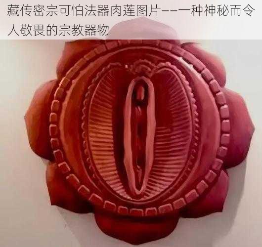 藏传密宗可怕法器肉莲图片——一种神秘而令人敬畏的宗教器物