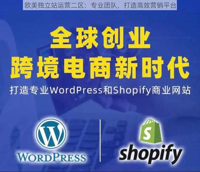 欧美独立站运营二区：专业团队，打造高效营销平台