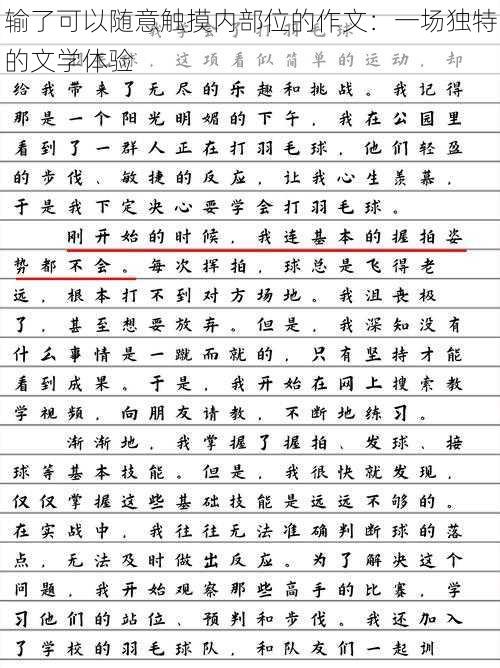 输了可以随意触摸内部位的作文：一场独特的文学体验