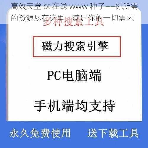 高效天堂 bt 在线 www 种子——你所需的资源尽在这里，满足你的一切需求