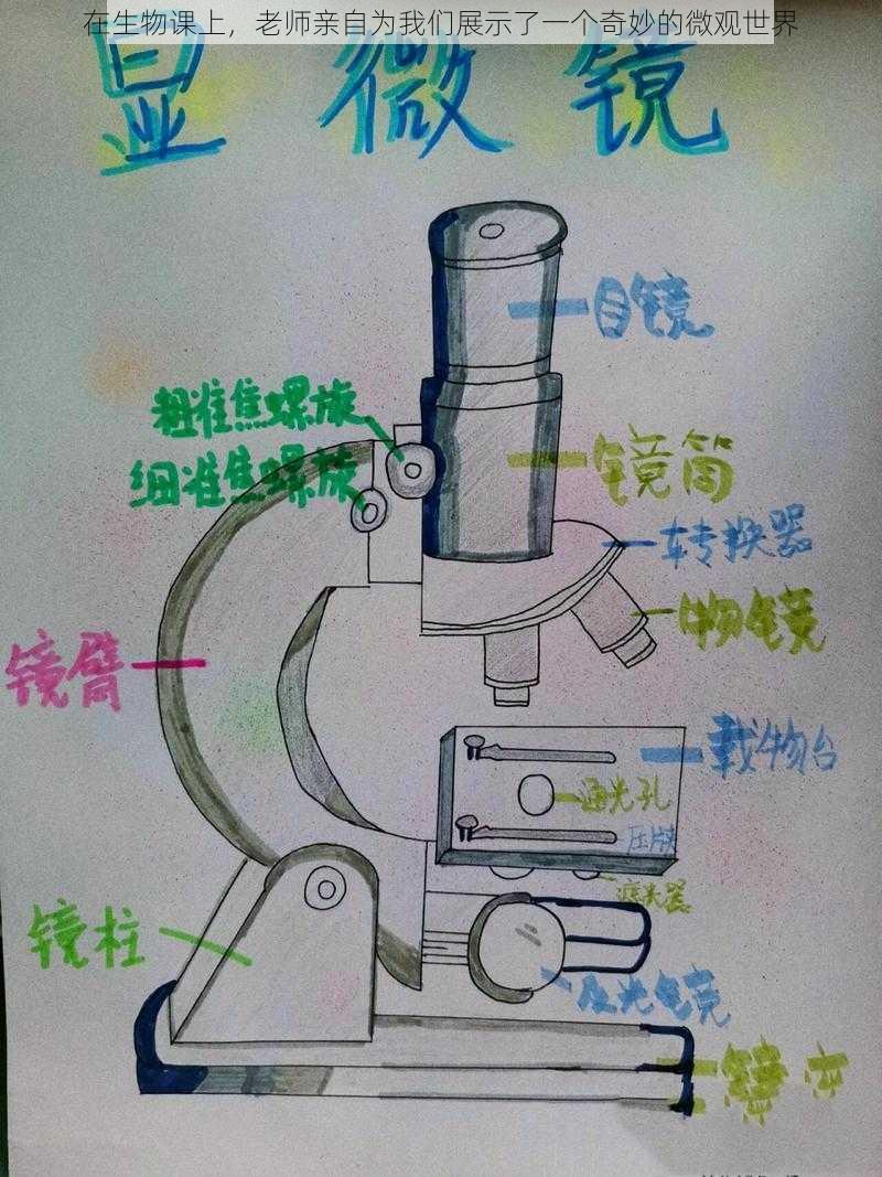 在生物课上，老师亲自为我们展示了一个奇妙的微观世界